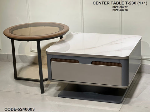 Ready to Ship Center Table 231(IMPORTED)