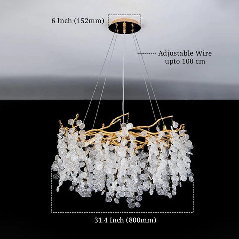 Canities Modern Chandelier