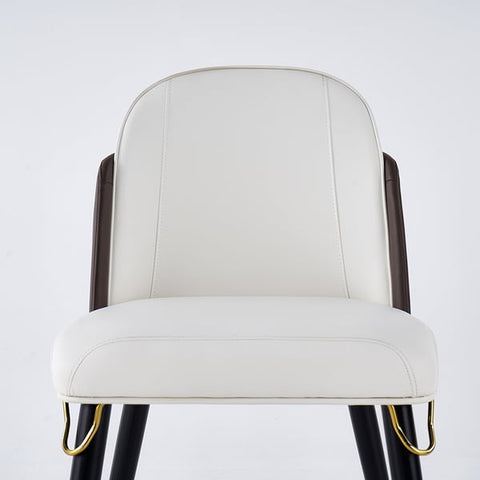 Elegant & Luxurious Dining Chairs 8