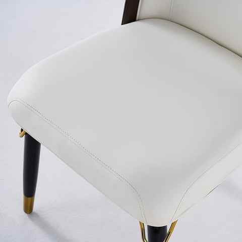 Elegant & Luxurious Dining Chairs 8