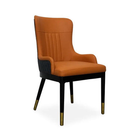 Elegant & Luxurious Dining Chairs 35