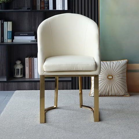 Elegant & Luxurious Dining Chairs 55