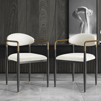 Elegant & Luxurious Dining Chairs 40