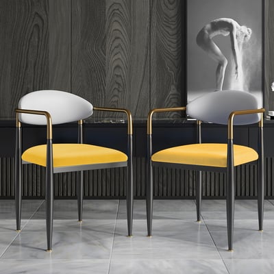 Elegant & Luxurious Dining Chairs 40