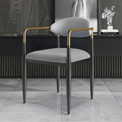 Elegant & Luxurious Dining Chairs 40