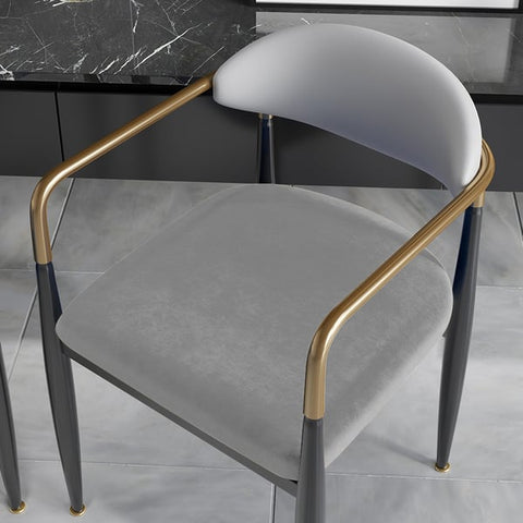 Elegant & Luxurious Dining Chairs 40