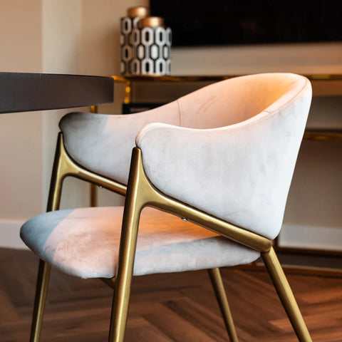 Elegant & Luxurious Dining Chairs 12