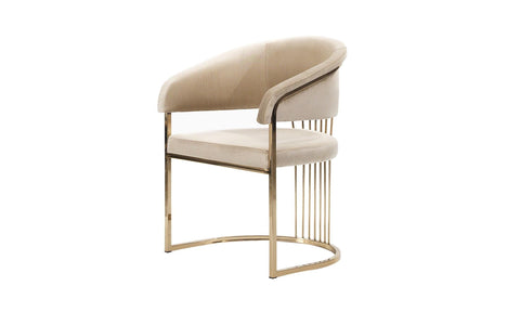 Elegant & Luxurious Dining Chairs 13